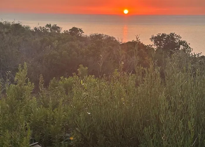 La Doulou Calme, Vue Et Jardin Chalet Coti-Chiavari (Corsica)